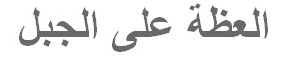 beg 6 beg 6
