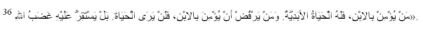 john 3_36 john 3_36